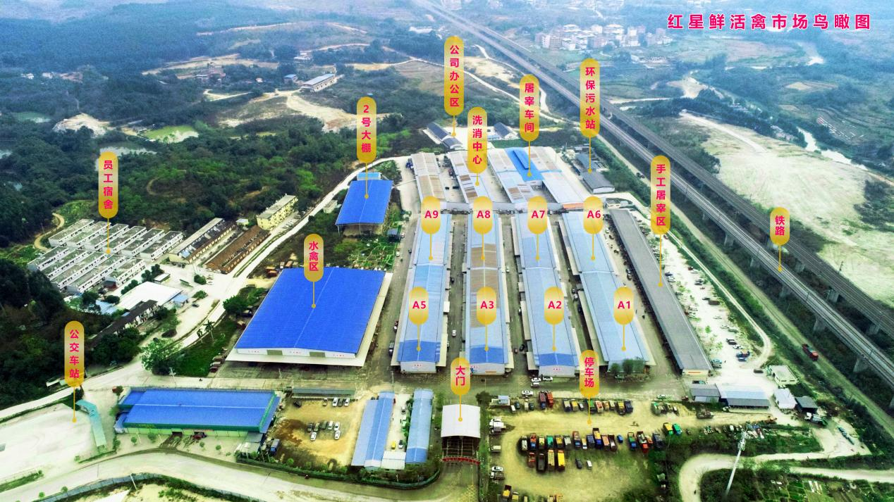 红星鲜活禽公司鸟瞰图.png